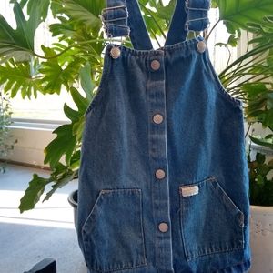 7 For All Mankind Jean Jumper Dress